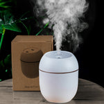 2022NEW Portable Air Humidifier