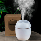 2022NEW Portable Air Humidifier